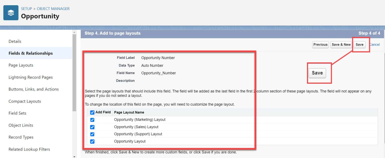 How to Create an Auto-Number Field in Salesforce