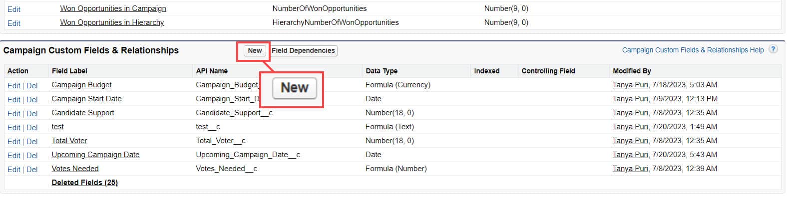 TEXT() Function in Salesforce | Syntax, Examples, & Use Cases