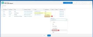 Edit Fields Inline on the Reports in Salesforce - SalesForce FAQs