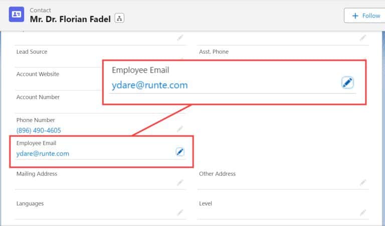 Salesforce Email Field - SalesForce FAQs
