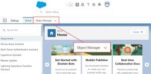 How to Set Default Value For Text Field in Salesforce