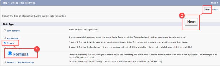 INITCAP Function in Salesforce | Initial Upper Case Formula in ...