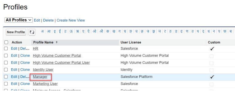 How to Restrict Login IP Addresses in Profiles in Salesforce ...