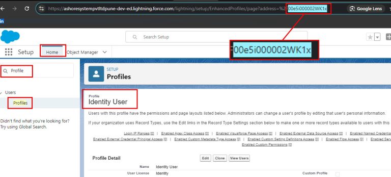 Insert Multiple Users With Data Loader in Salesforce