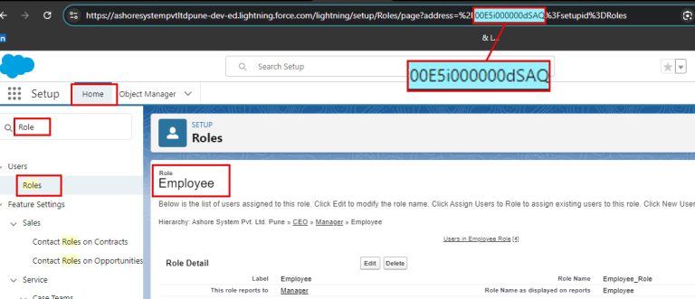 Insert Multiple Users With Data Loader in Salesforce