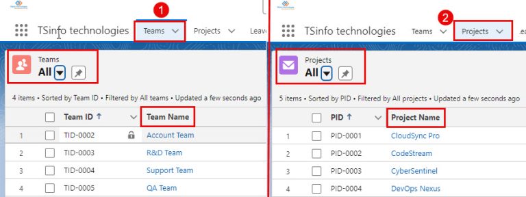 How to Create Junction Object in Salesforce - SalesForce FAQs