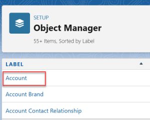 Salesforce Picklist Default Value Formula : Bijay Kumar