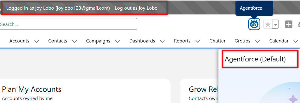 How to Give Access of Agentforce Employee Agent to user in Salesforce