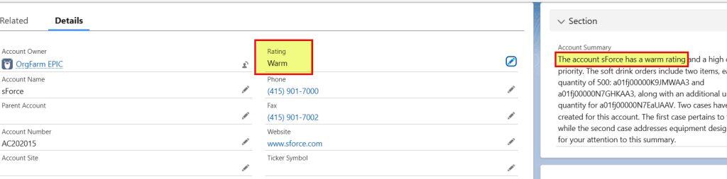 Auto-Generate Field Summaries in Salesforce Agentforce