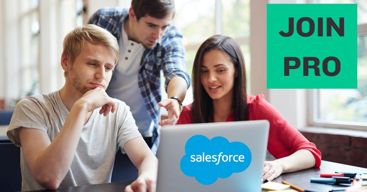 Join Salesforce Pro Access Training Courses
