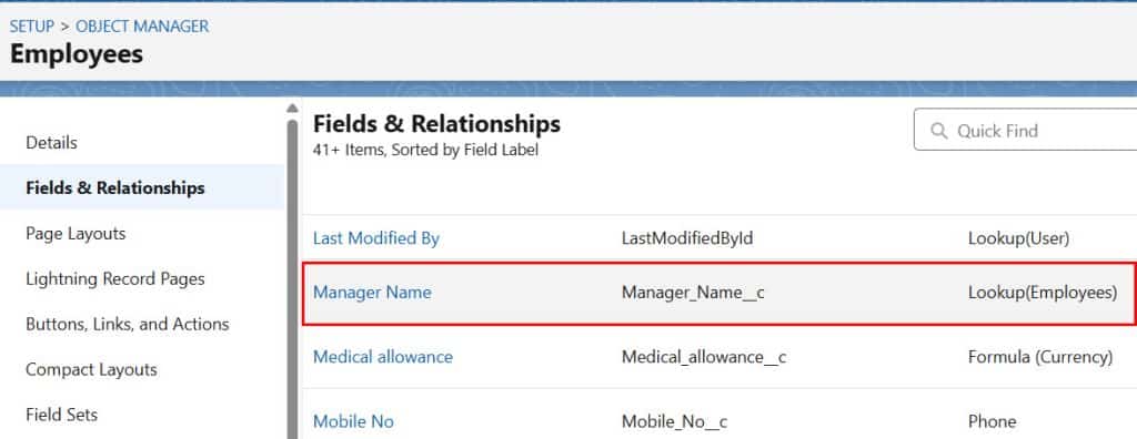 Understanding Self Relationship in Salesforce