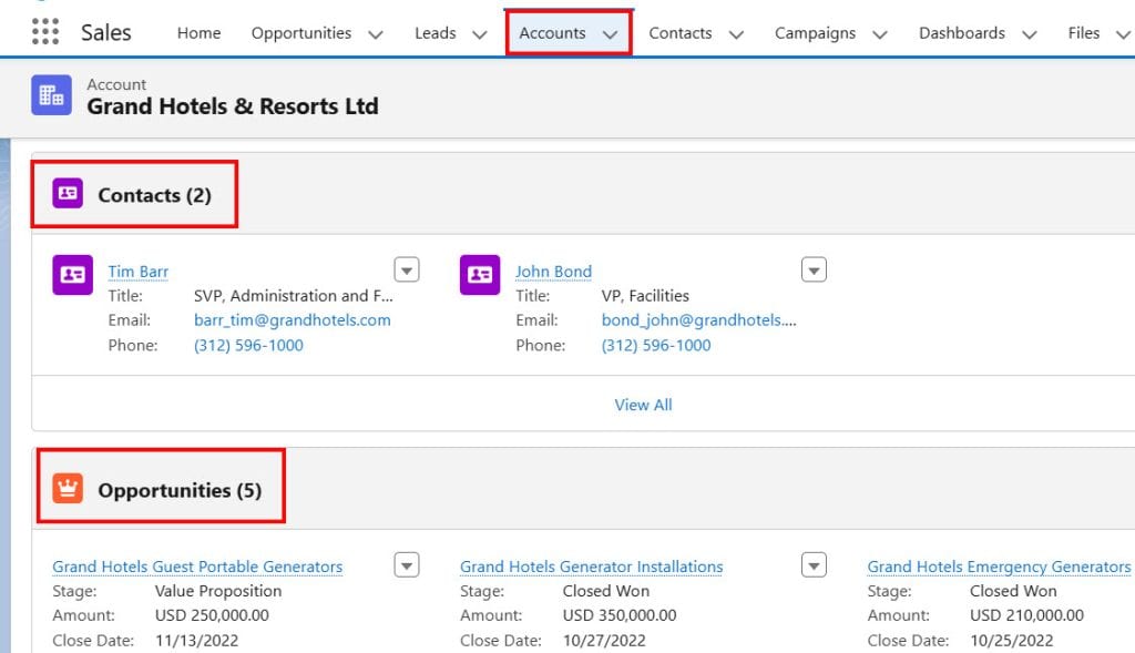Account object in Salesforce Sales Cloud