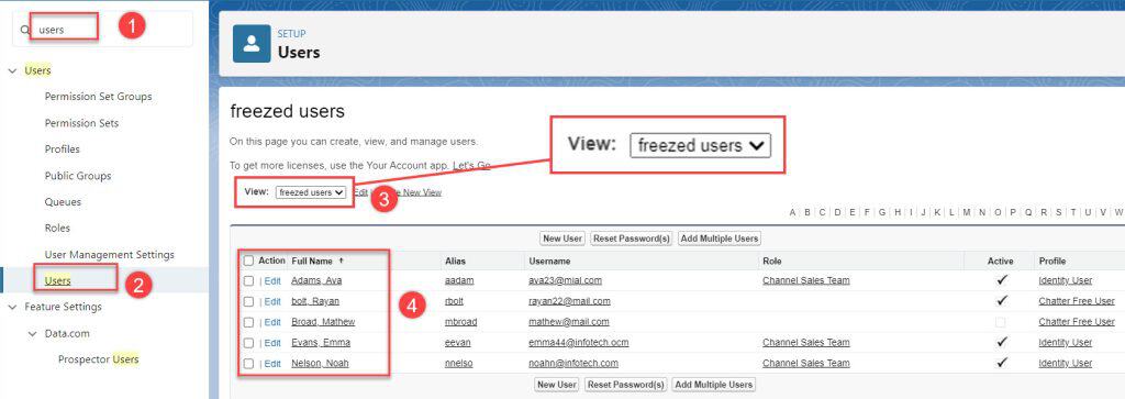 how to bulk freeze users in salesforce