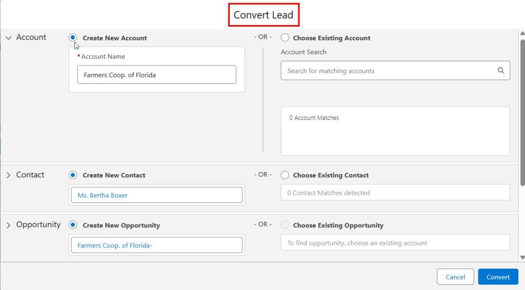 Lead Conversion in Salesforce Sales Cloud