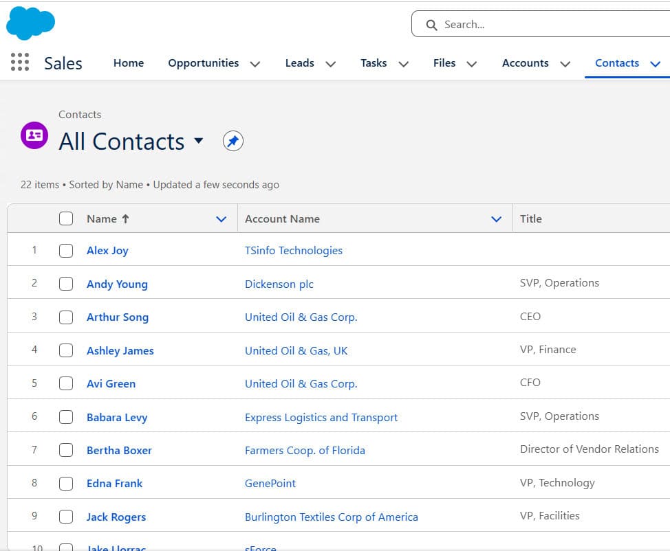 Customer Records in Salesforce Object