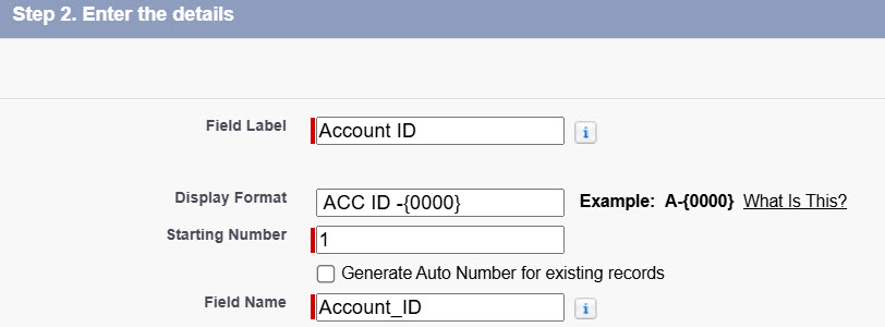 Add Auto Number Format in Salesforce