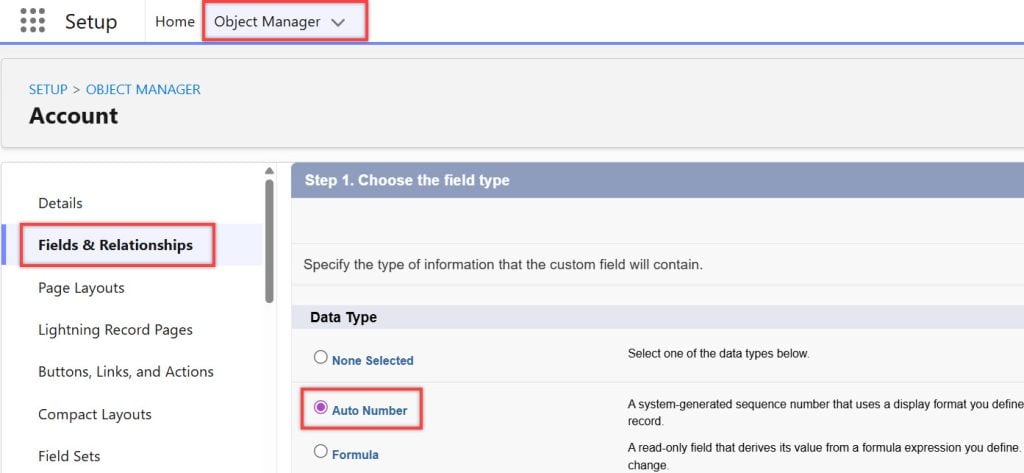Salesforce Auto-Number field creation screen showing display format and starting number settings