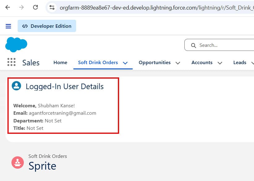 Show Logged-In User Details in the Salesforce Header