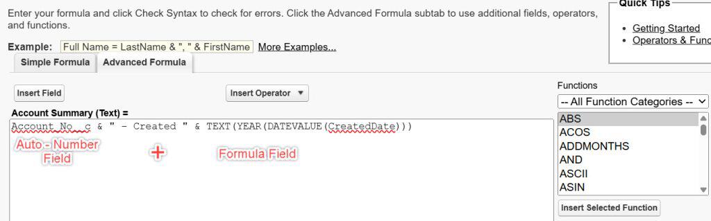 Salesforce Auto-Number and Formula fields are used together