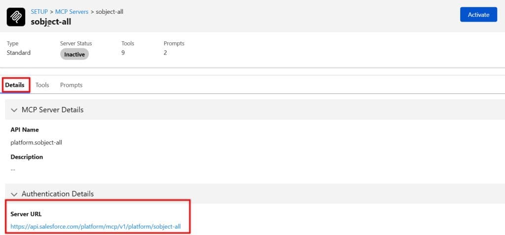 Salesforce MCP Server Setup
