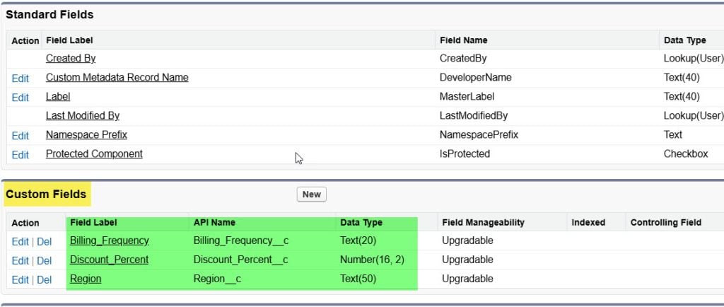 Create Custom Fields in Custom Metadata Types in Salesforce
