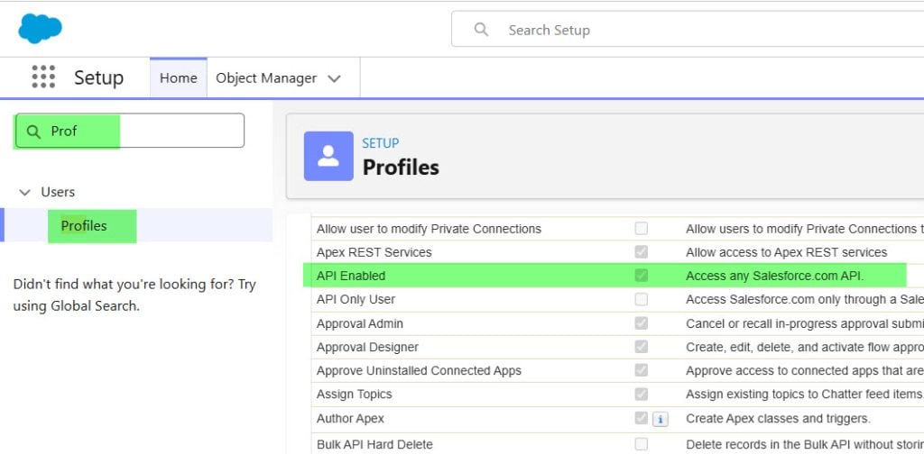 Salesforce API Permission for Users