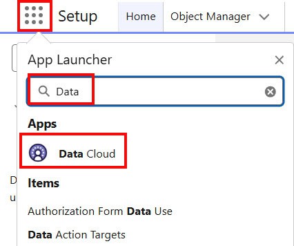 Salesforce Data Cloud